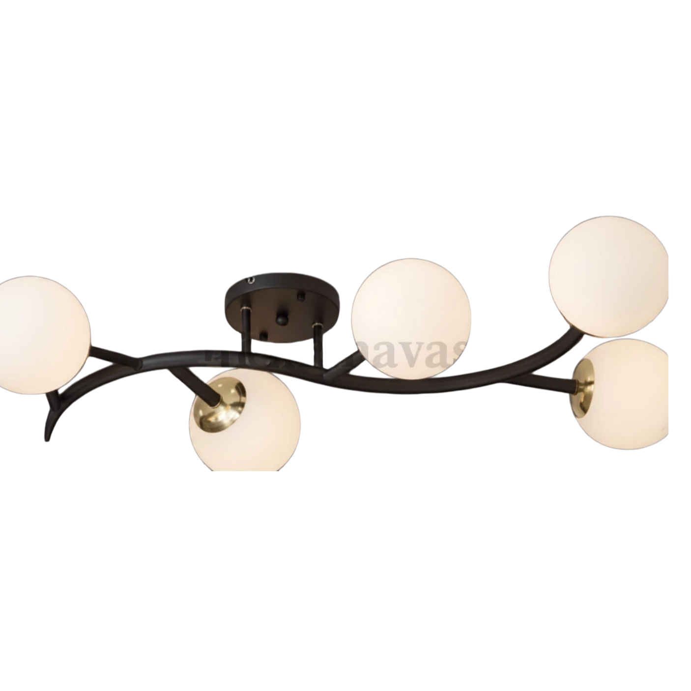 Royale Chandelier-0010102