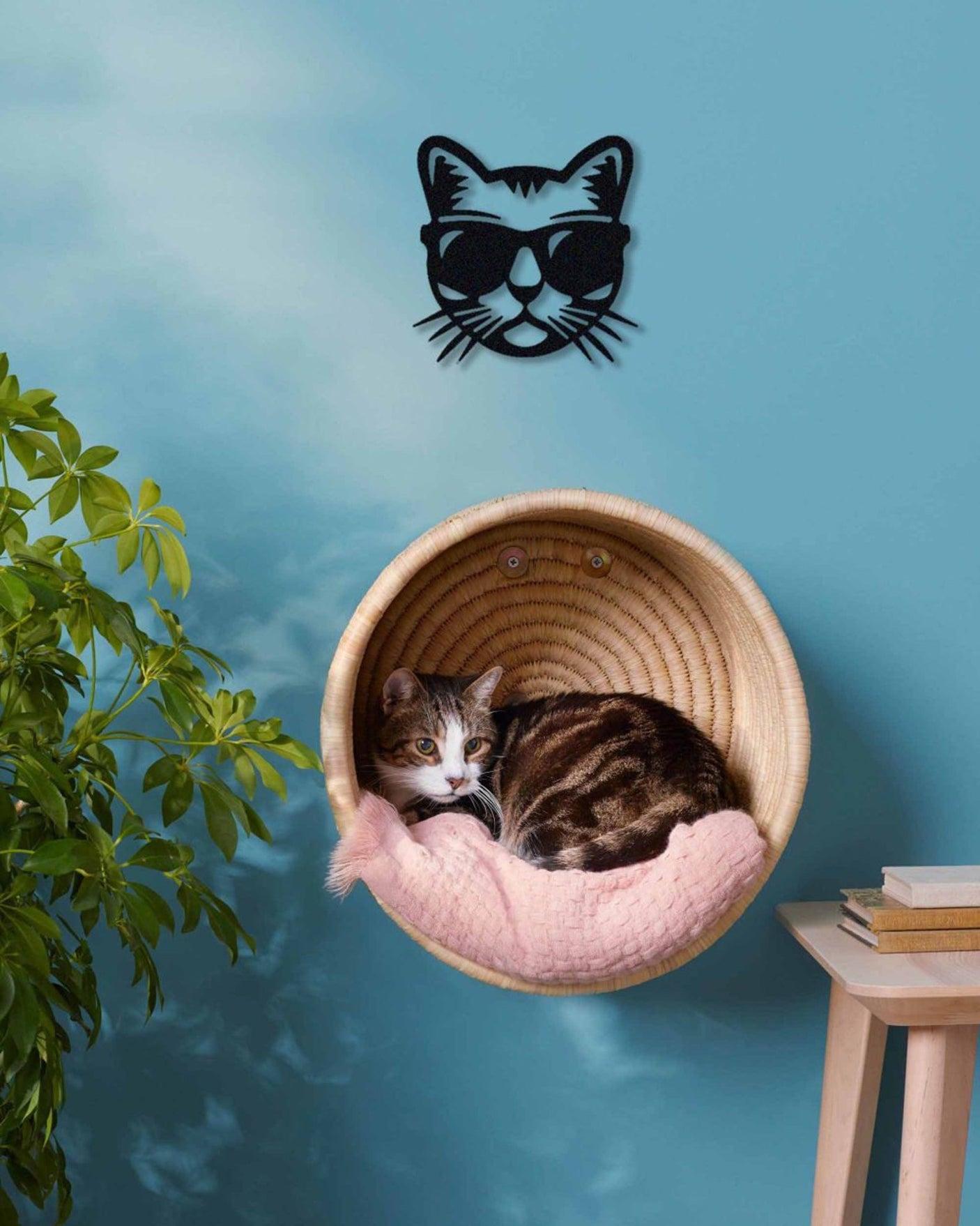 Cool Cat Wall Art-WQ.WA14.01