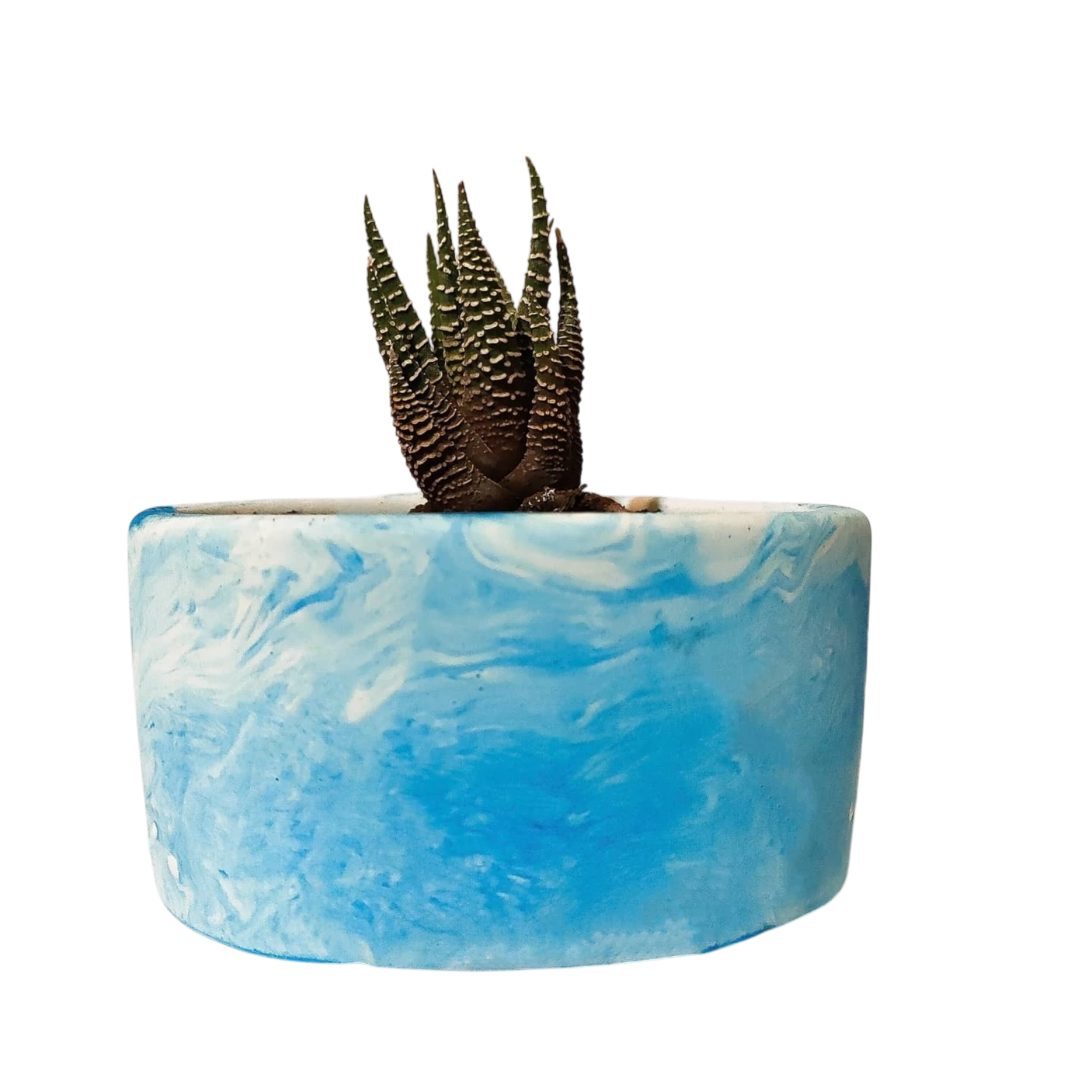 Plant Pot-33