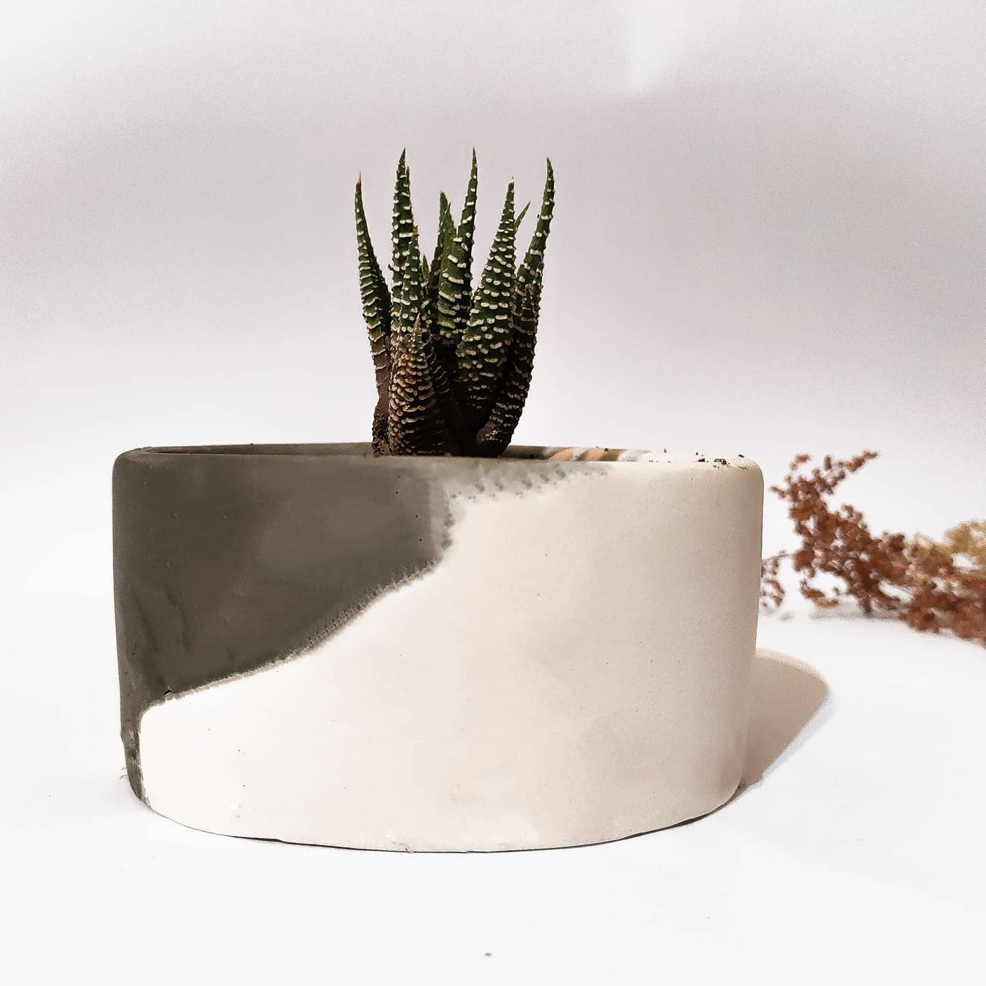 Plant Pot-34
