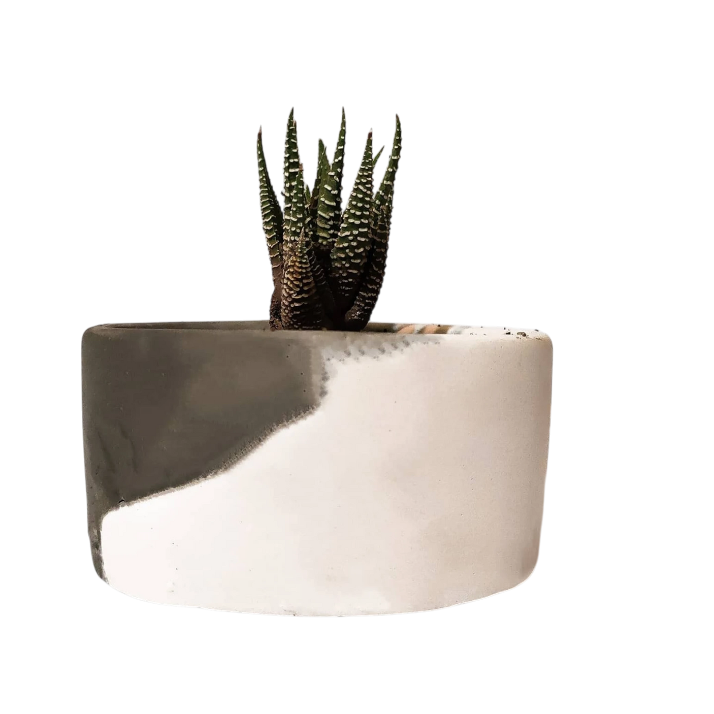 Plant Pot-34