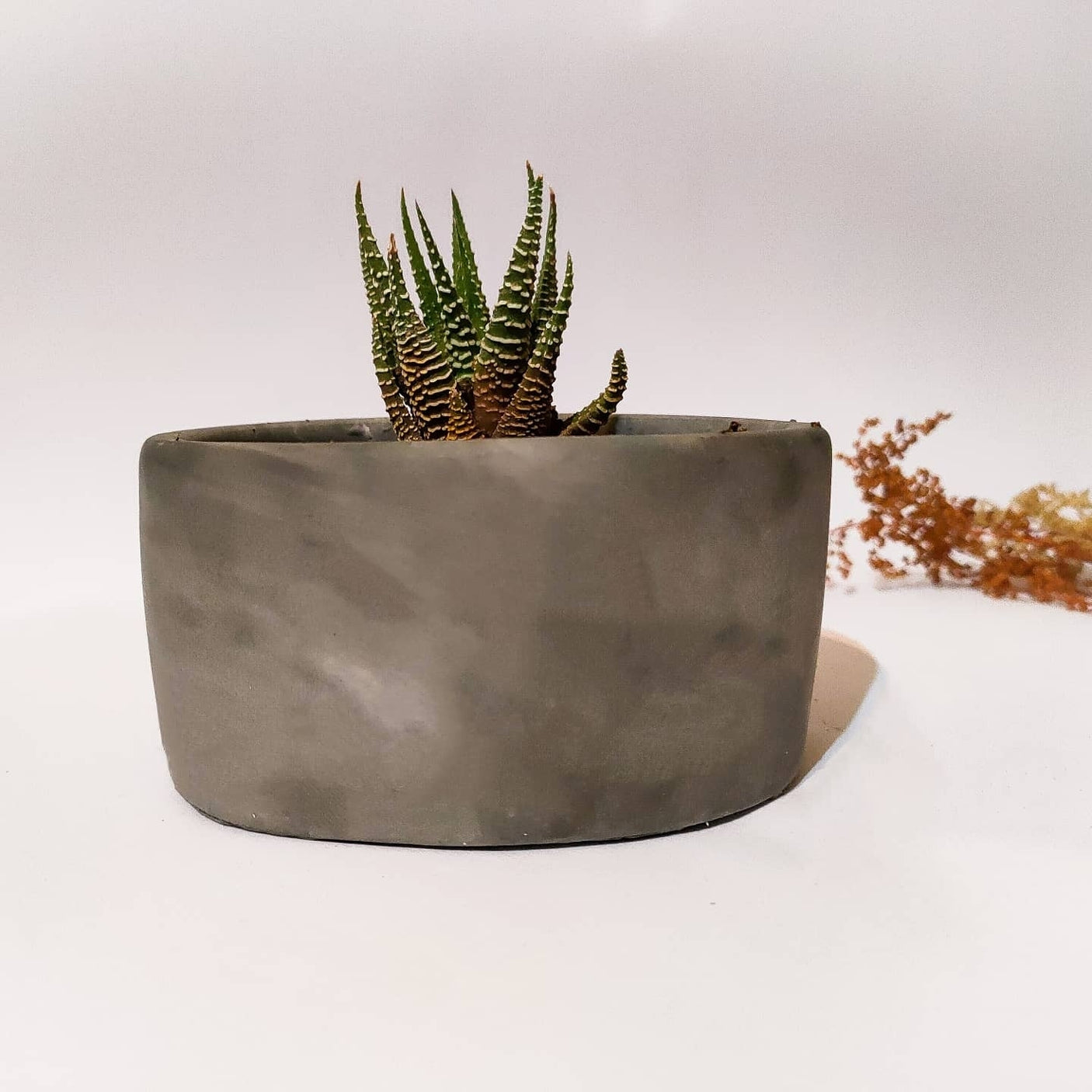 Plant Pot-32