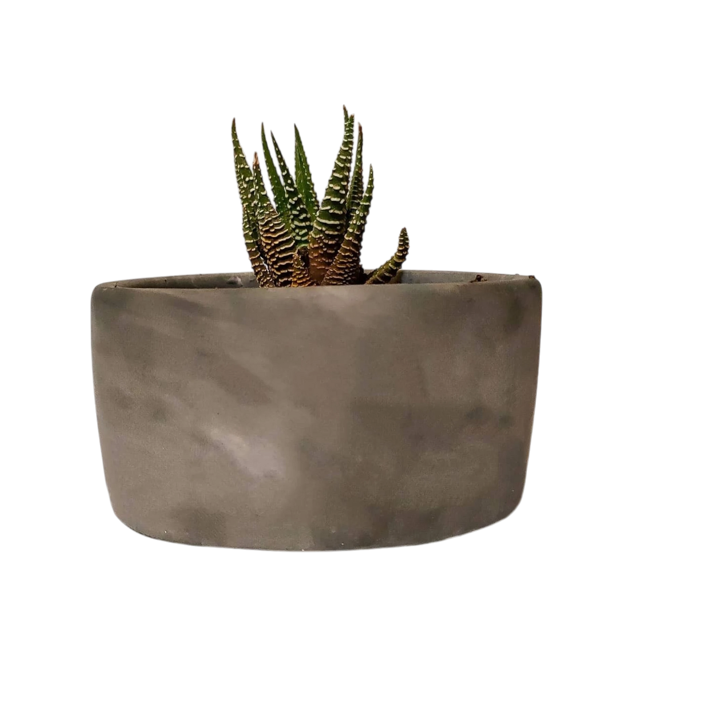 Plant Pot-32