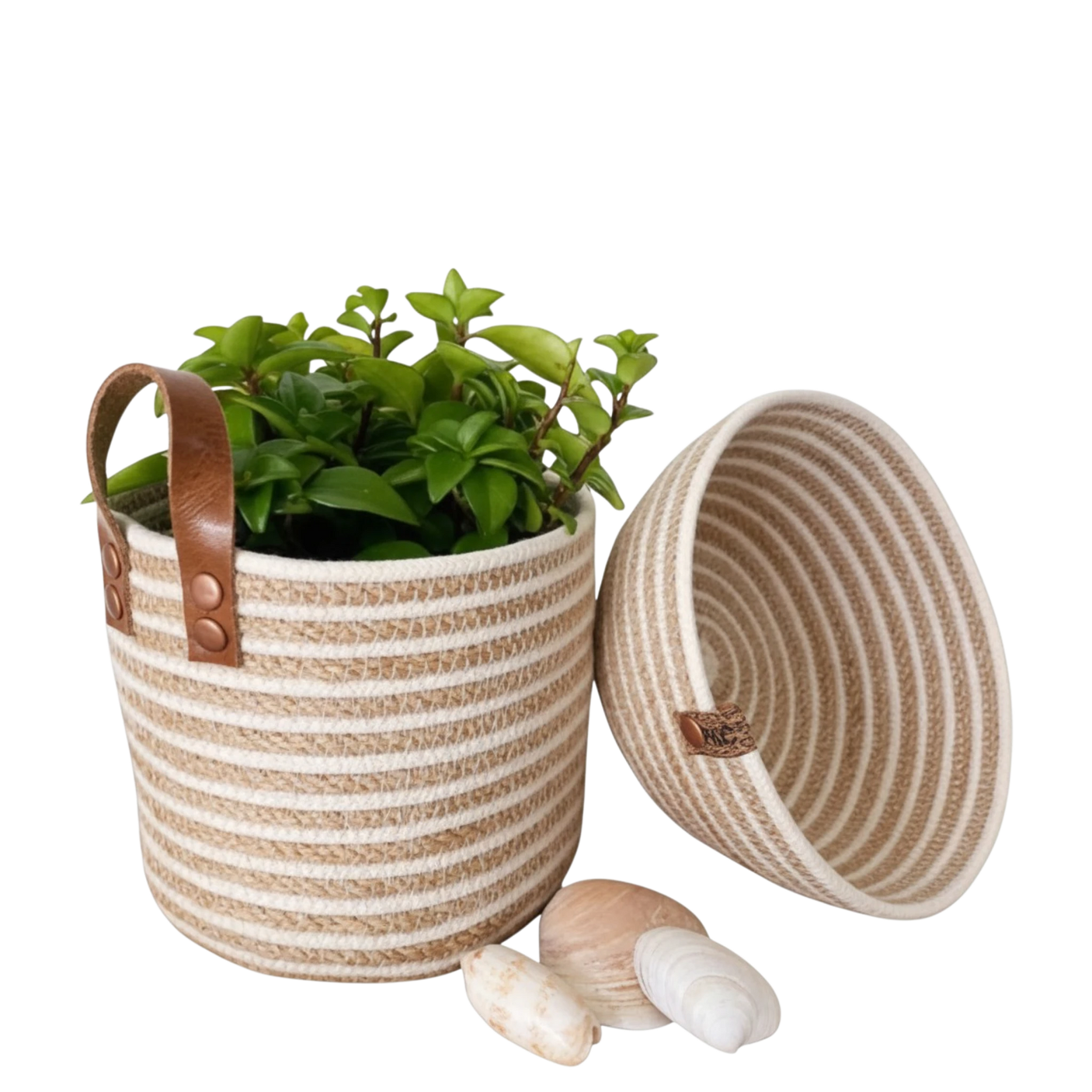 Pure Space Basket-WV146