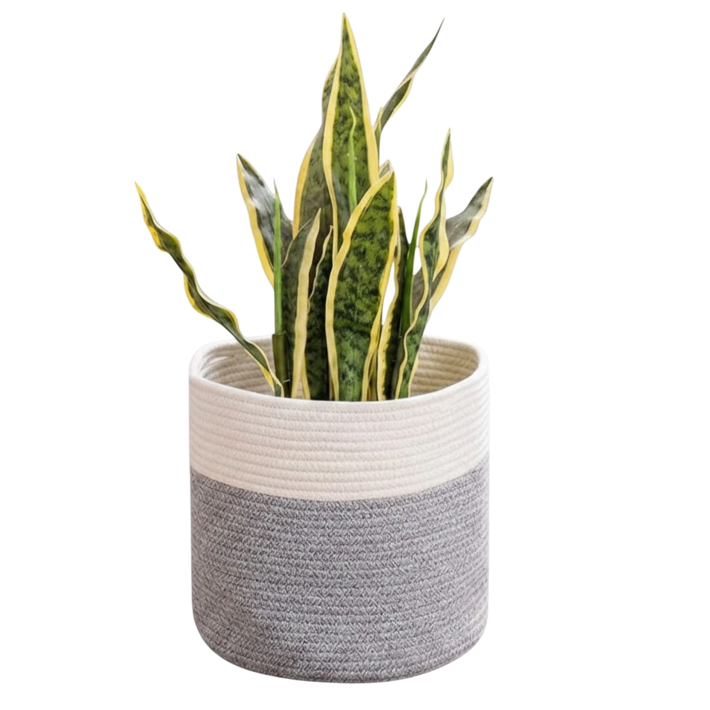 Woven It Minimalist Storage Basket-WV159