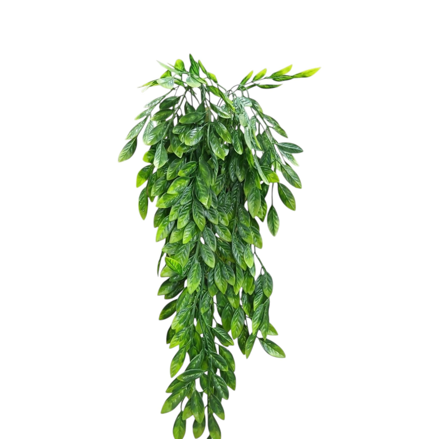 Plantify Plant_F9