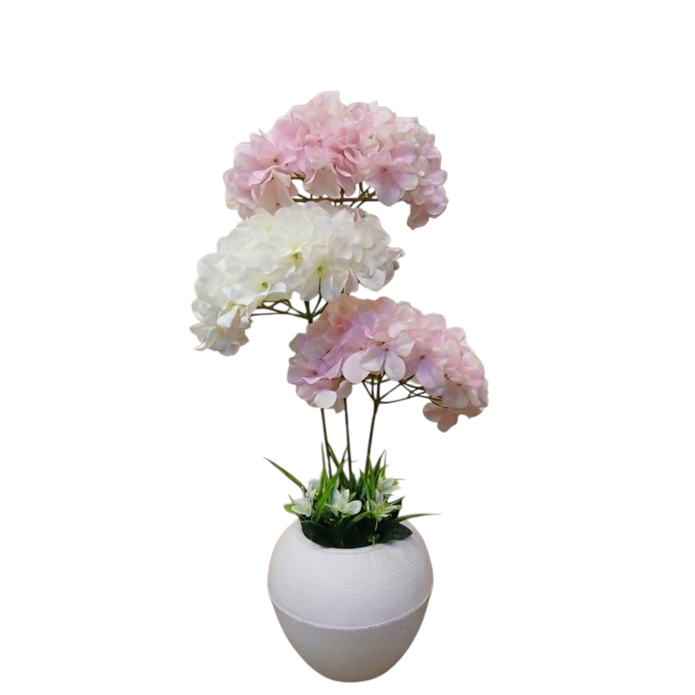 نباتات رخوة_F14
