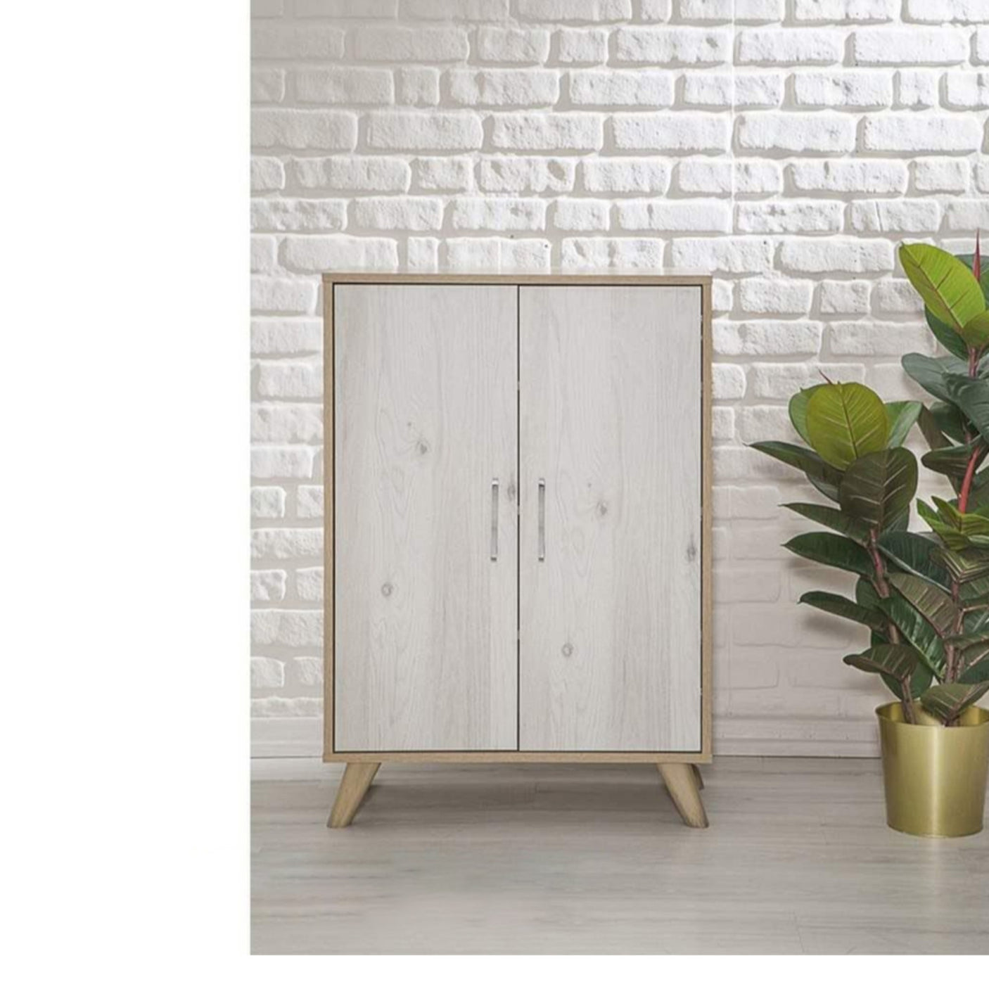 Aloria Shoe Cabinet - ant1068