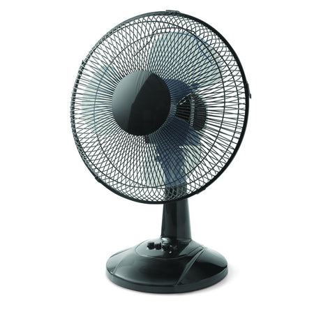 Fans