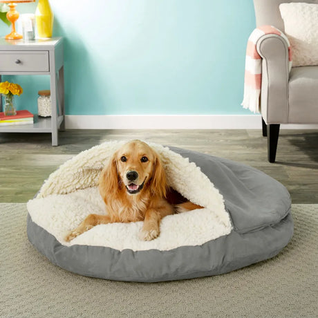 Pets Accessories