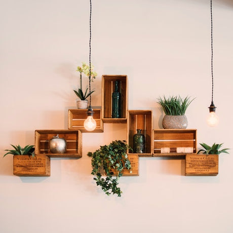 Shelves