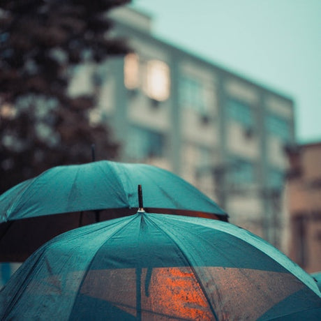 Umbrellas