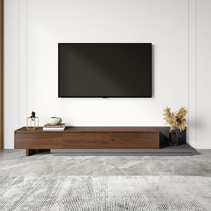 FEROTA TV Unit-WOTV3