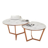 Ravien Set of 2 Coffee Tables-H035