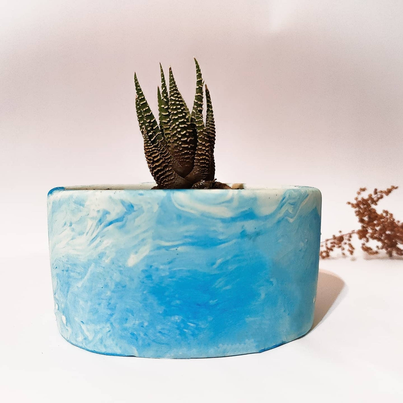 Plant Pot-33