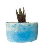 Plant Pot-33