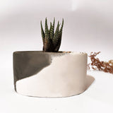 Plant Pot-34