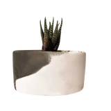Plant Pot-34