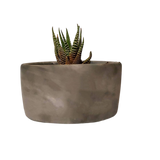 Plant Pot-32