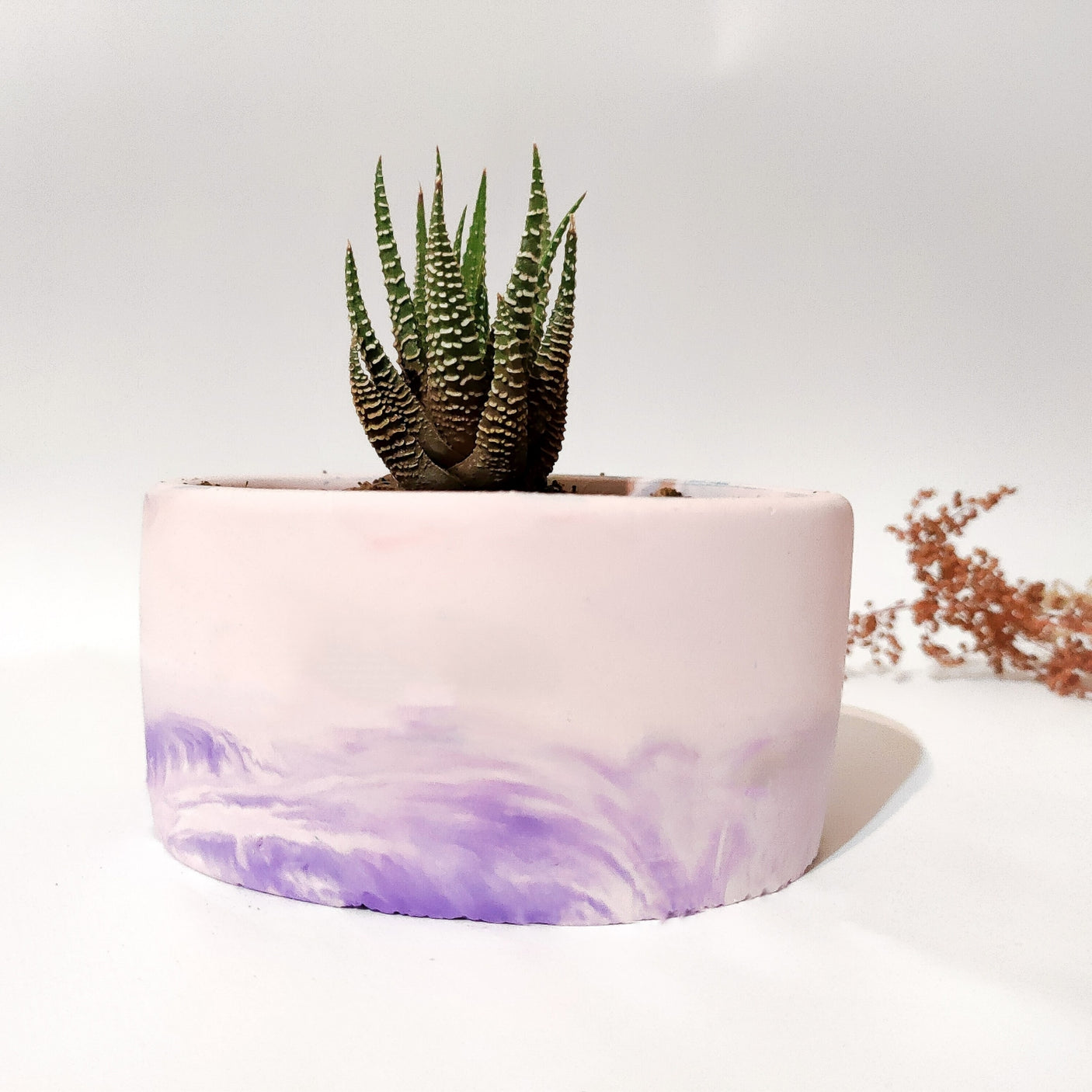 Plant Pot-35