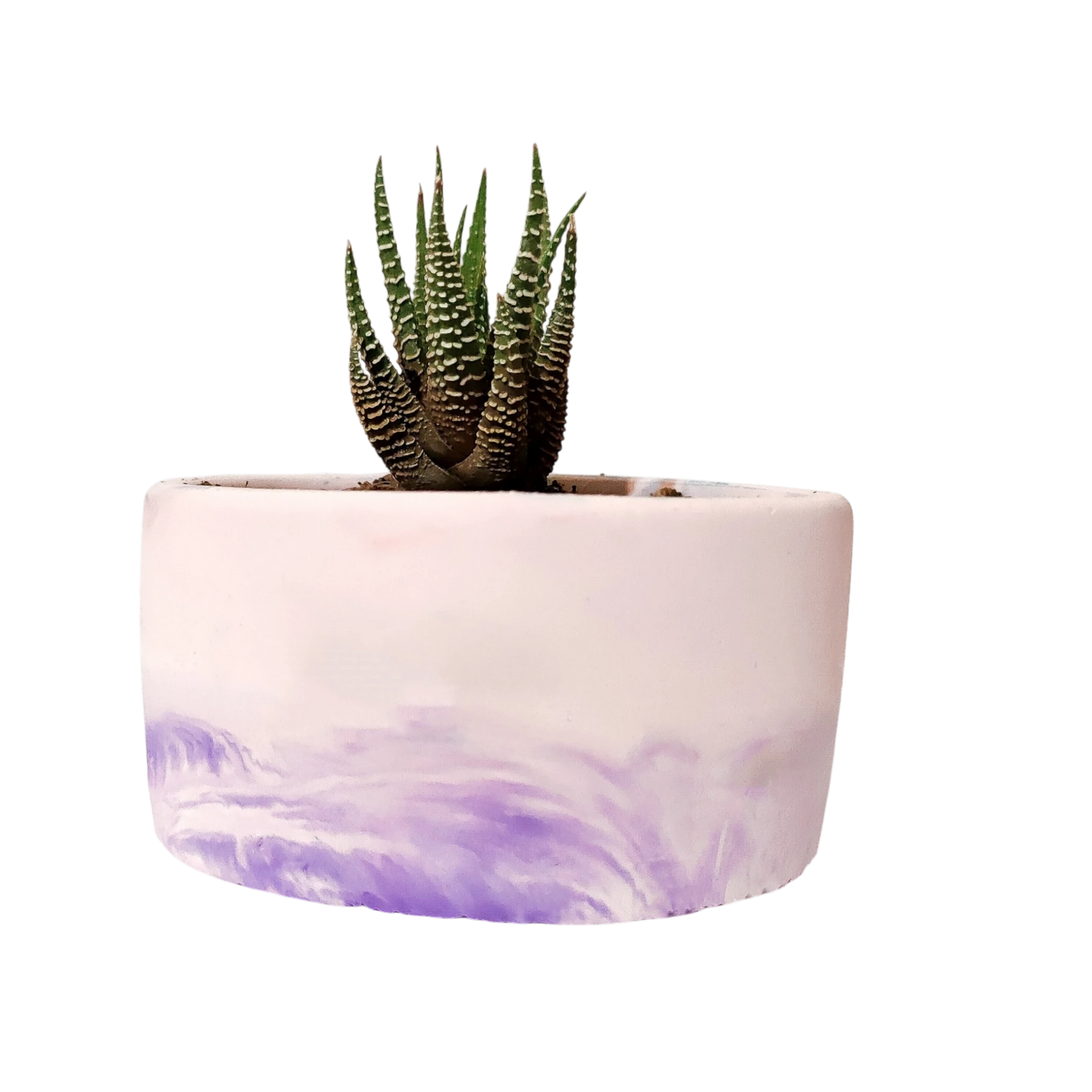 Plant Pot-35