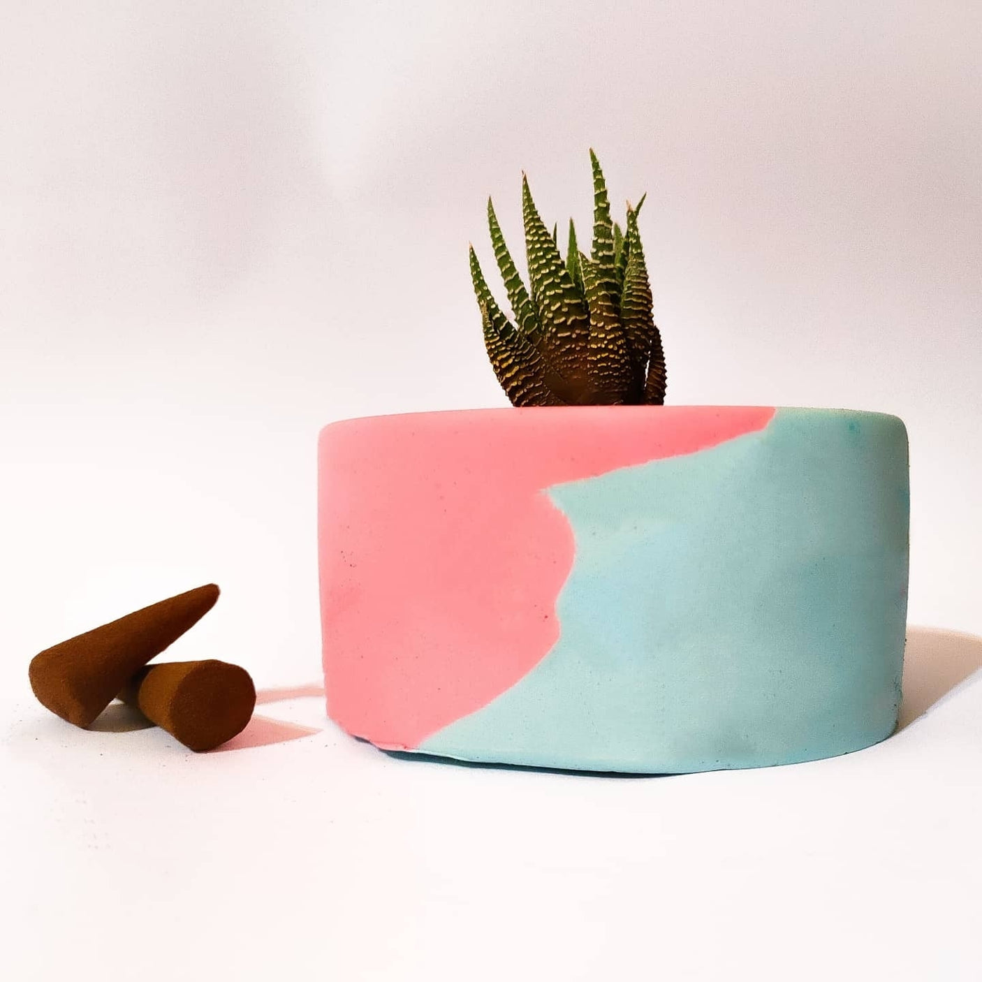 Plant Pot-31