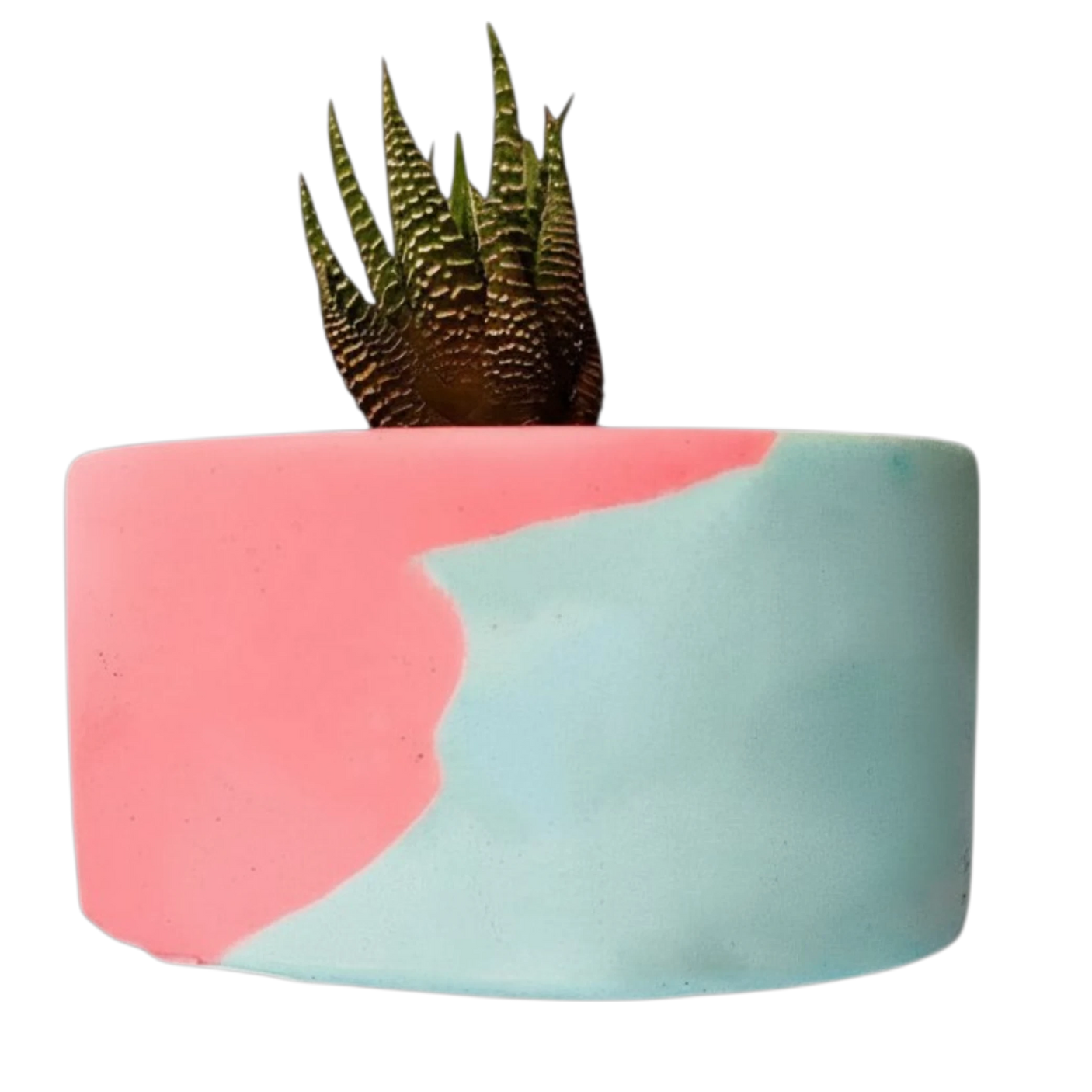 Plant Pot-31