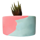 Plant Pot-31