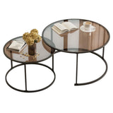 Accent Set of 2 Coffee Tables_MT43