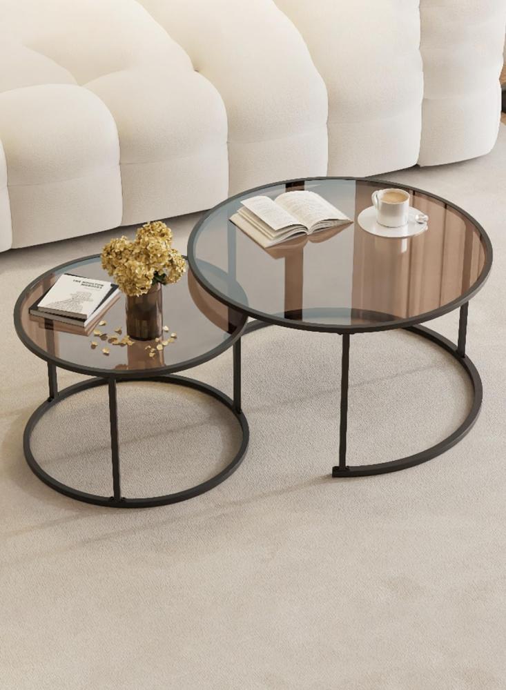Accent Set of 2 Coffee Tables_MT43