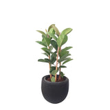 Dalven Bundle-BU22