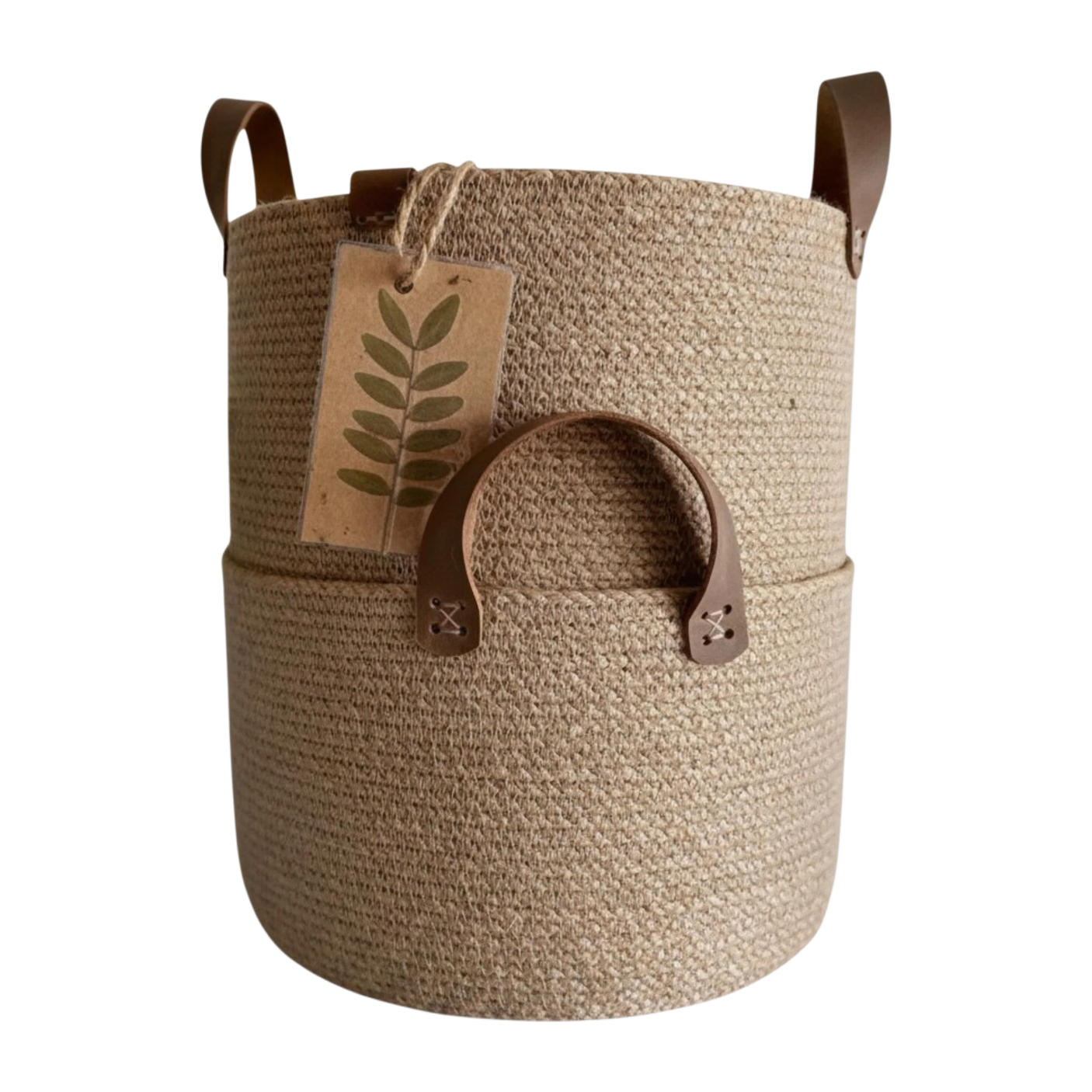 Willow Basket-WV137