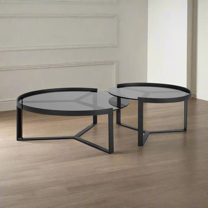 Emberl Set of 2 Coffee Tables-G11