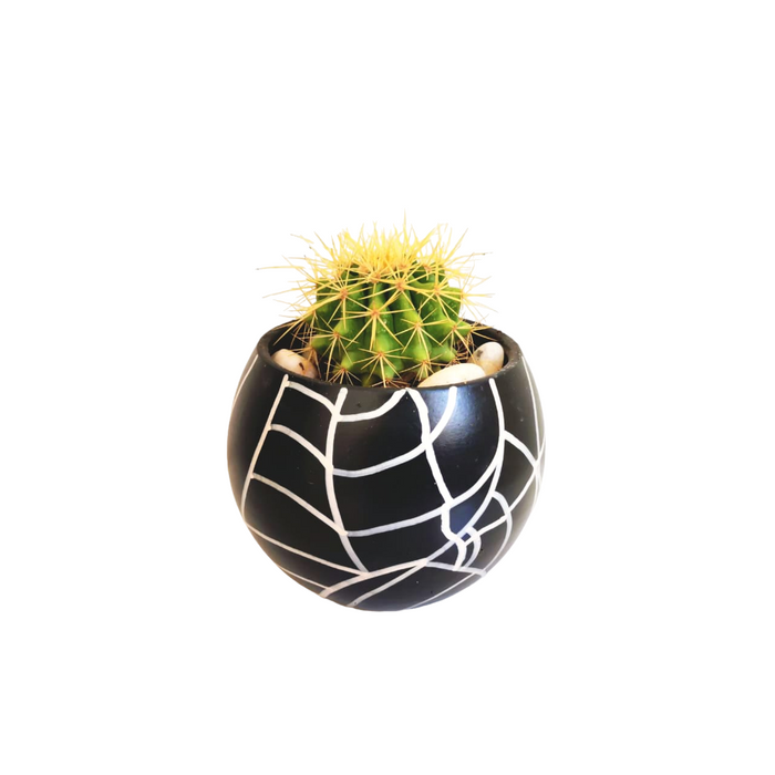 Golden Ball Plant-SH65