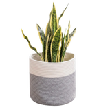 Woven It Minimalist Storage Basket-WV159