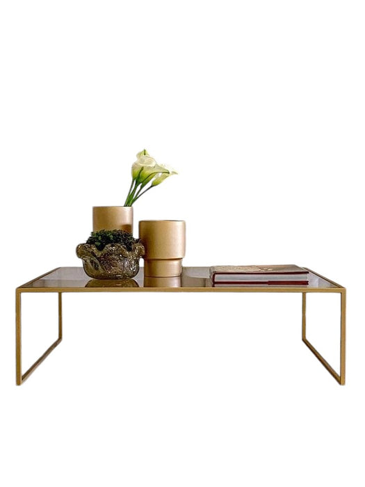 Davina Coffee Table-Art-steel.CT9