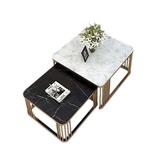 Selina Set of 2 Coffee Tables-Art-steel.CT98