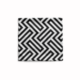 Olivia black & white cushion-AM100