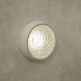 Vivid Light-E5