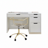 Charm Desk-WF21