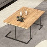 Brevi Coffee Table-H043