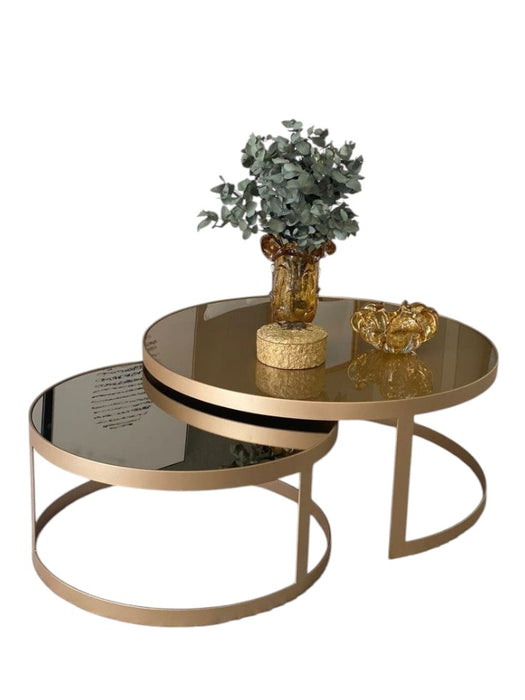 Harlo Set of 2 Coffee Table-H050
