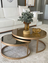 Harlo Set of 2 Coffee Table-H050