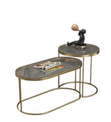 Saldor Set of 2 Coffee Tables-H066