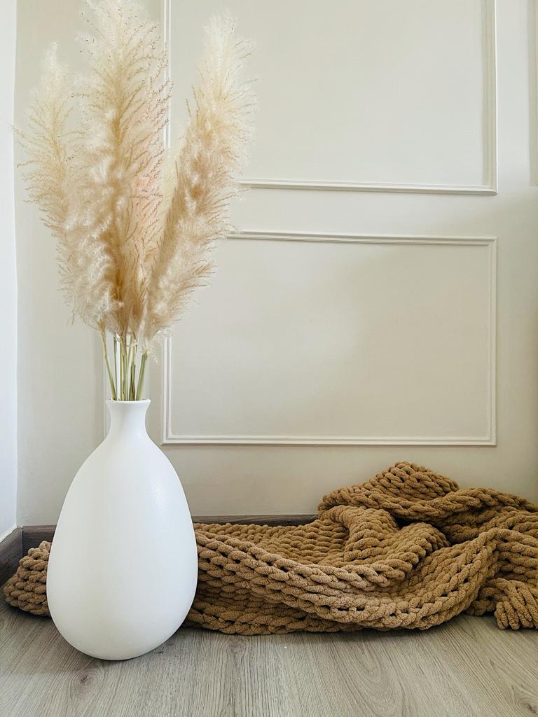 بريانا فاز-ل