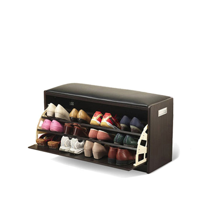 Carron Shoe Cabinet-M1