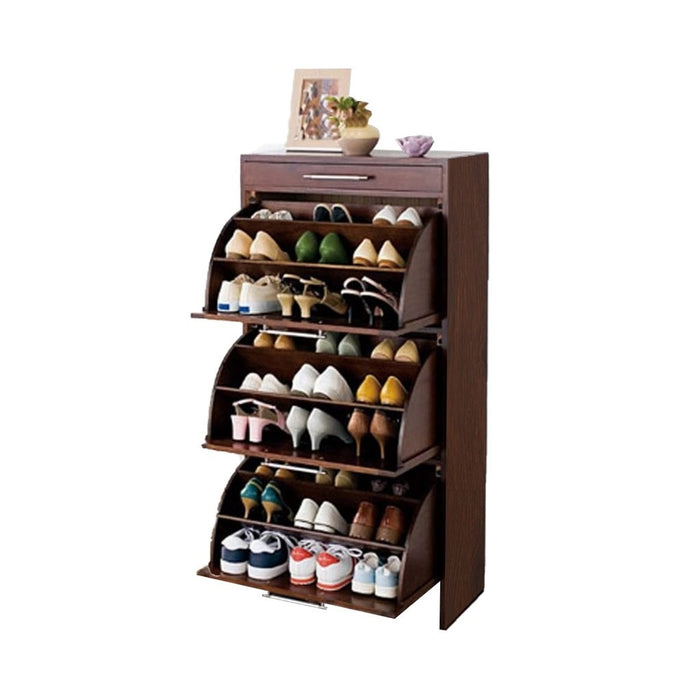 Carver Shoe Cabinet-M4