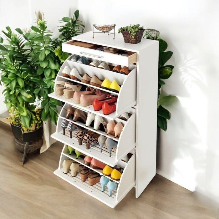 Holsen Shoe Cabinet-M5