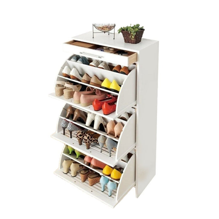 Holsen Shoe Cabinet-M5