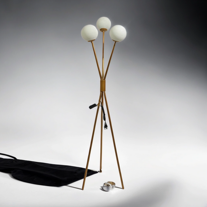 Trillium Floor Lamp-AP4